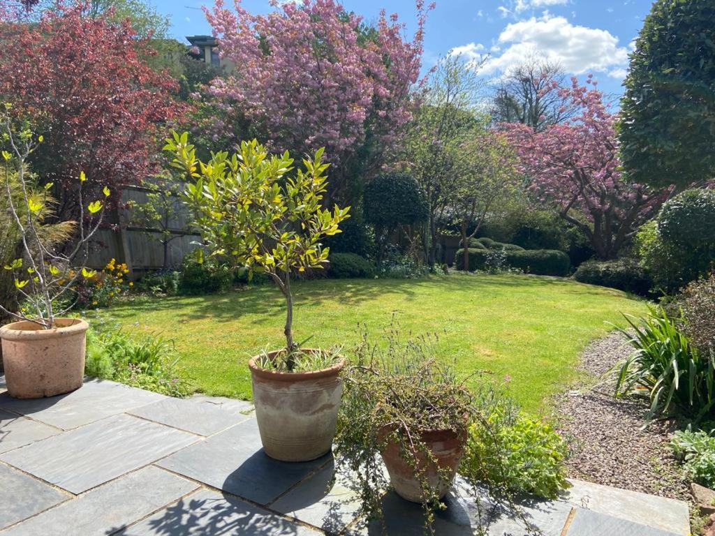 Clifton Garden Flat With Parking Leilighet Bristol Eksteriør bilde